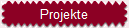 Projekte